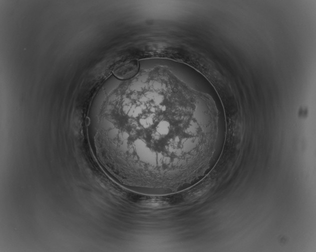 X0000093600754200710221547