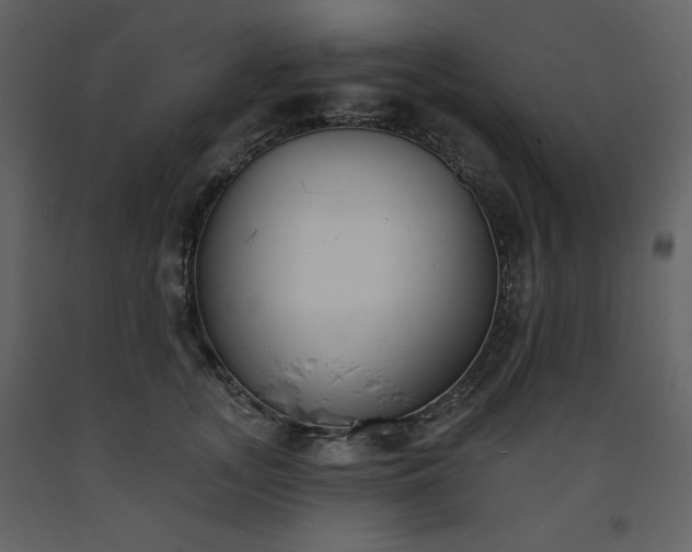 X0000093600755200710221547