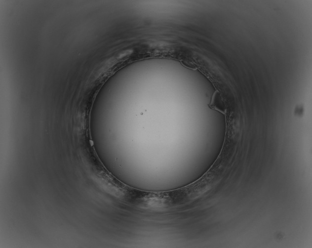 X0000093600756200710221547