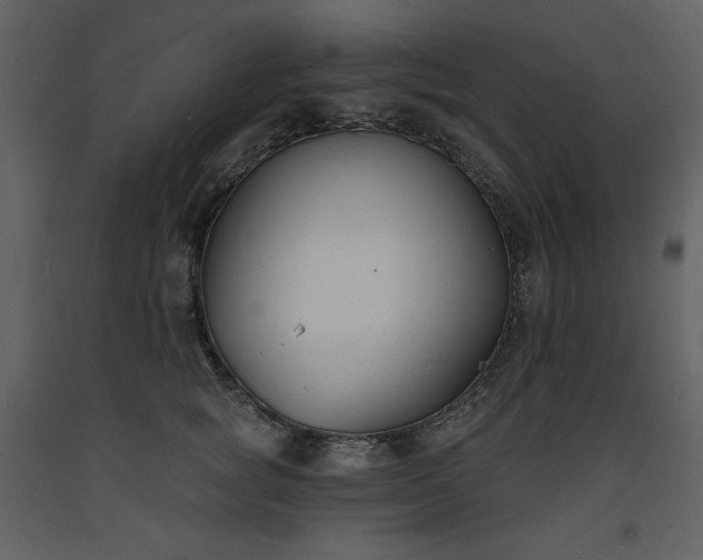 X0000093600757200710221547