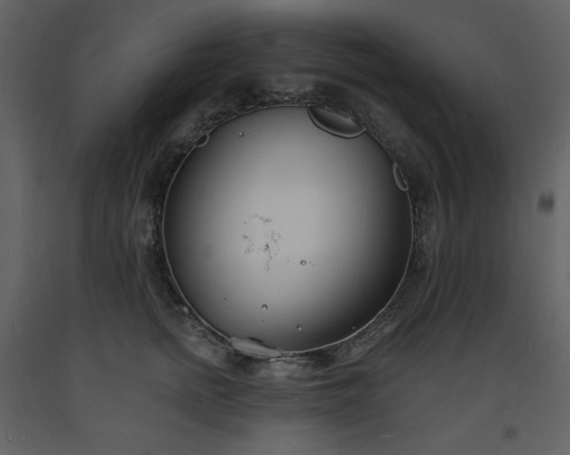 X0000093600758200710221547