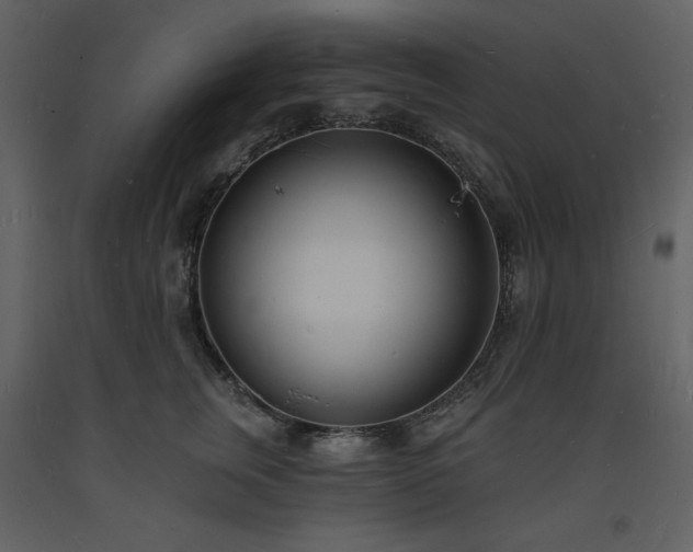 X0000093600759200710221547