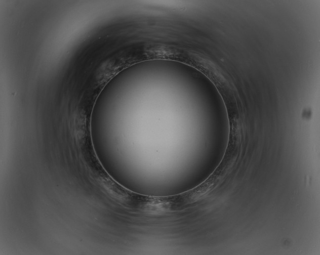 X0000093600760200710221547