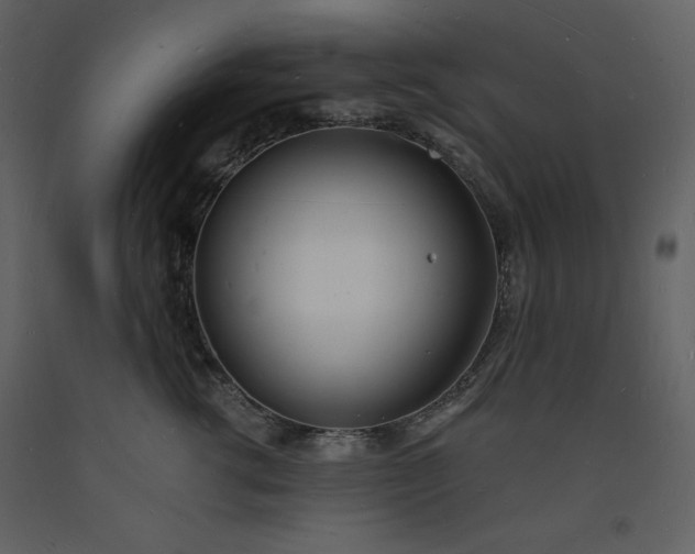 X0000093600762200710221547