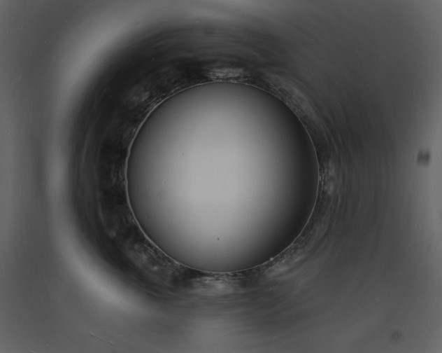 X0000093600763200710221547