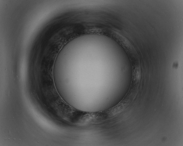 X0000093600764200710221547