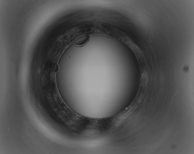 X0000093600765200710221547