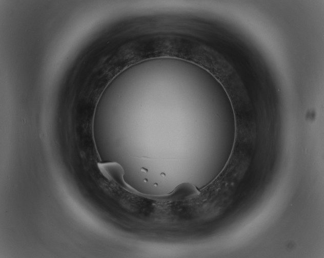 X0000093600766200710221547