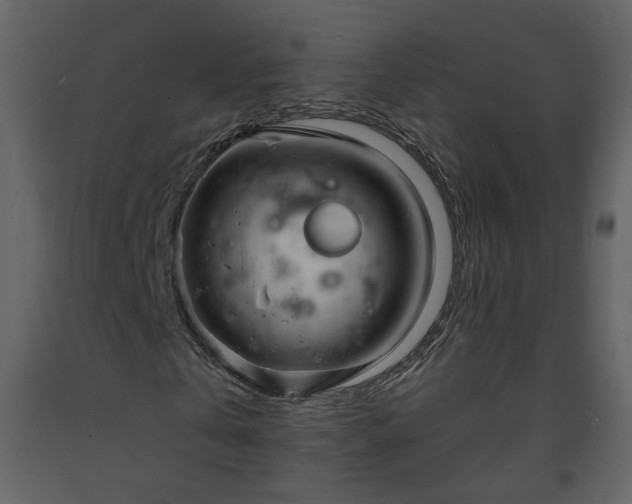 X0000093600769200710221546