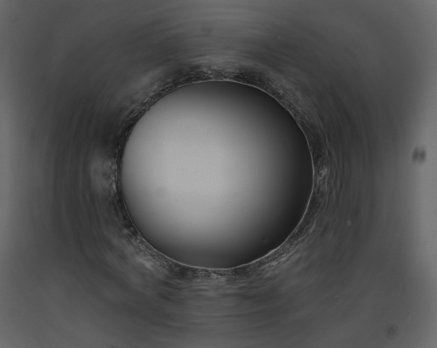 X0000093600772200710221546