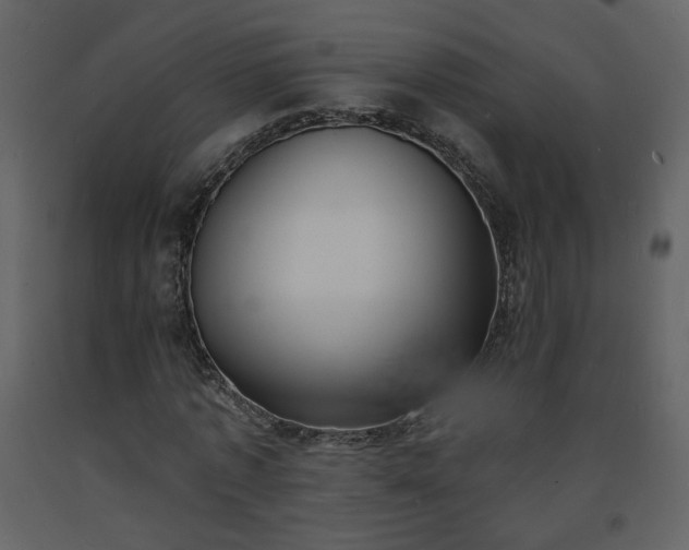 X0000093600773200710221546