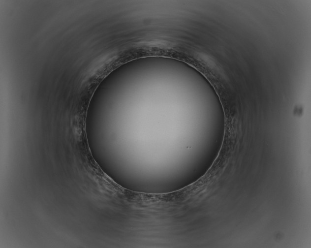 X0000093600774200710221546