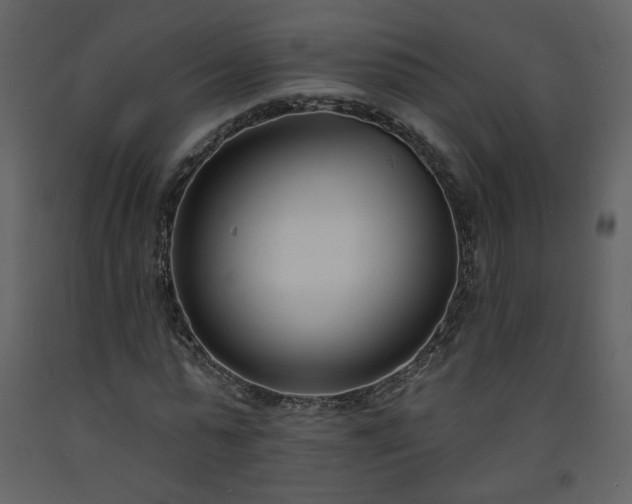 X0000093600775200710221546