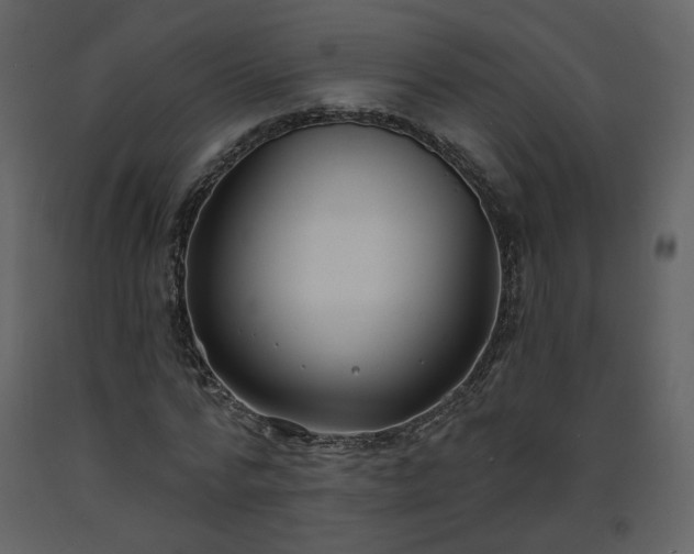 X0000093600776200710221546