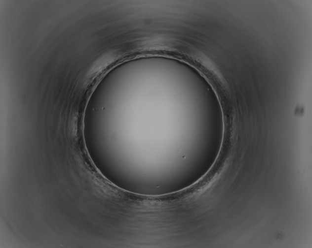 X0000093600777200710221546