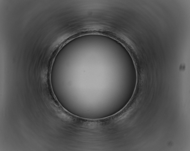 X0000093600778200710221546