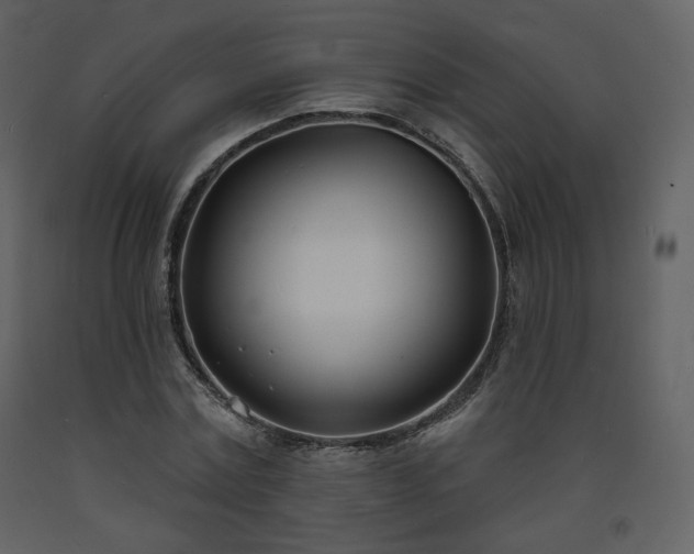 X0000093600779200710221546