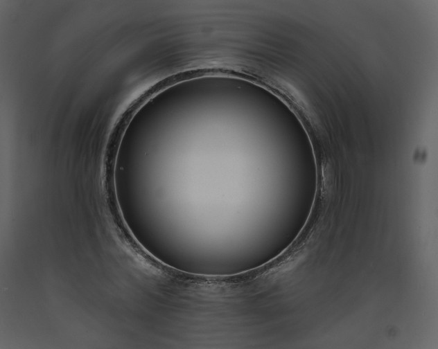 X0000093600780200710221546