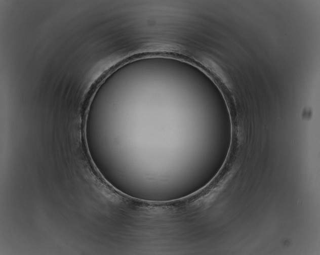 X0000093600781200710221546