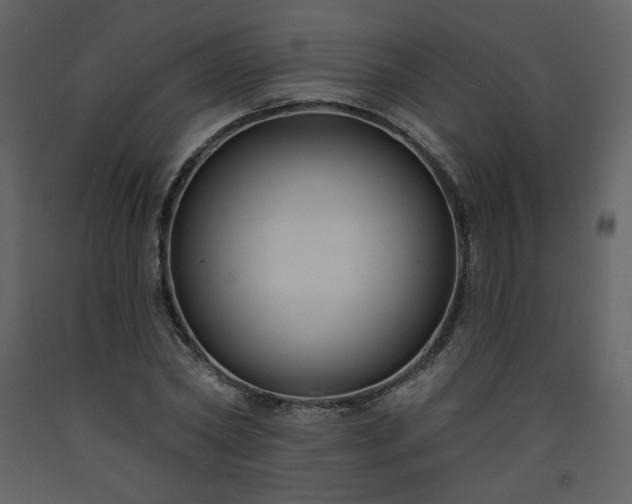 X0000093600782200710221546