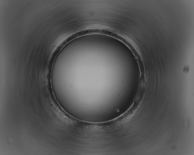 X0000093600783200710221546