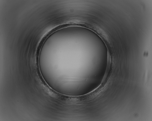 X0000093600784200710221546