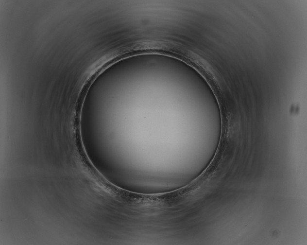 X0000093600786200710221546