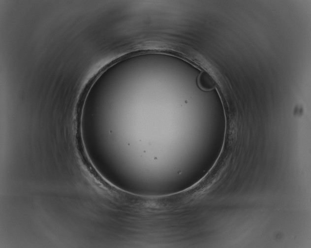 X0000093600787200710221546