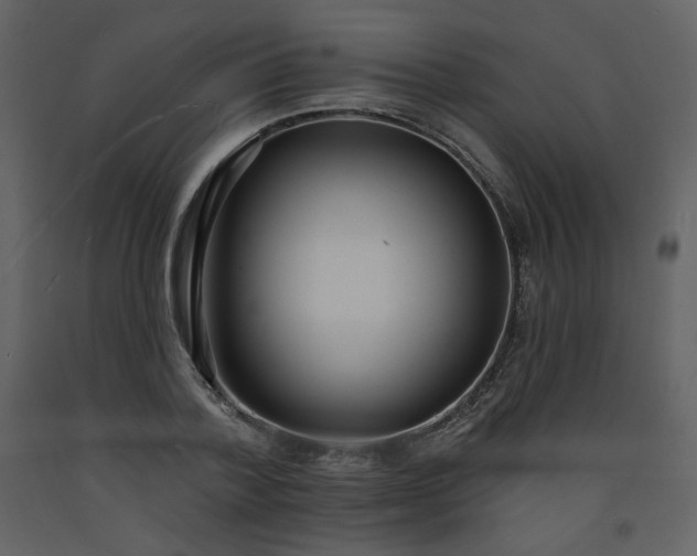 X0000093600788200710221546