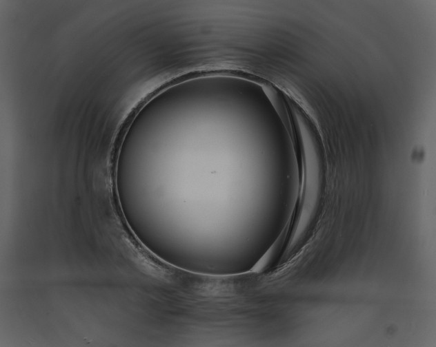 X0000093600789200710221546