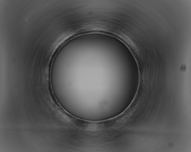 X0000093600790200710221546