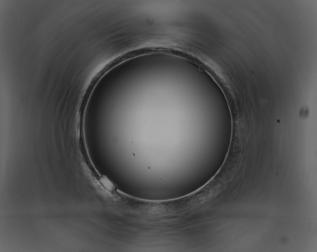 X0000093600791200710221546