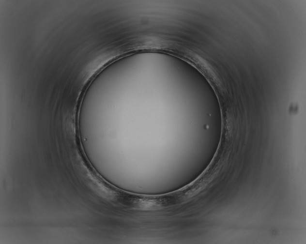 X0000093600794200710221546