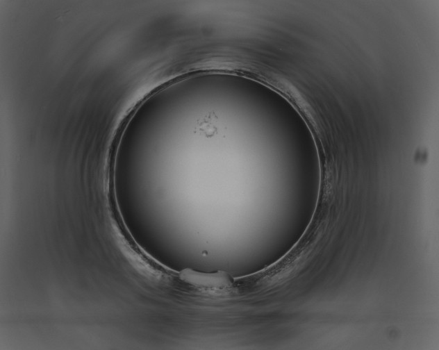 X0000093600795200710221546