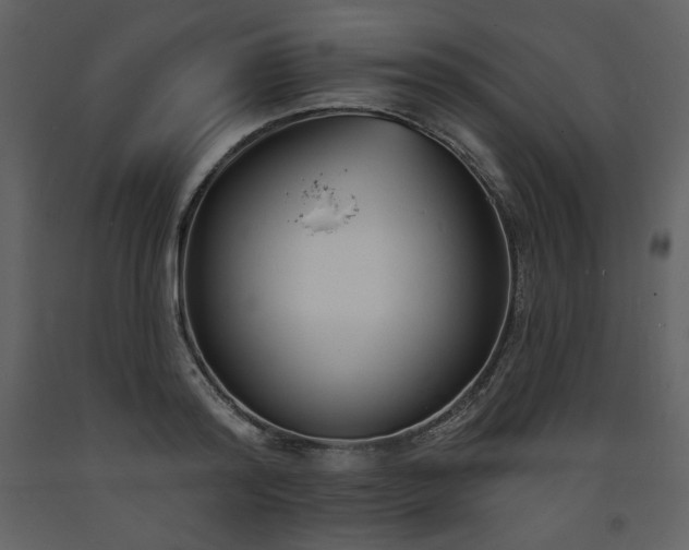 X0000093600796200710221546