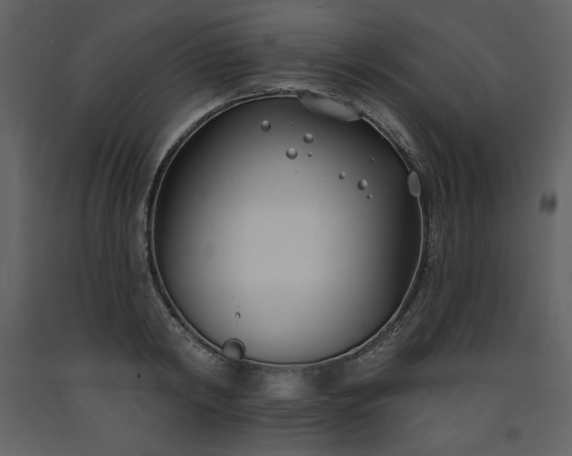 X0000093600798200710221546