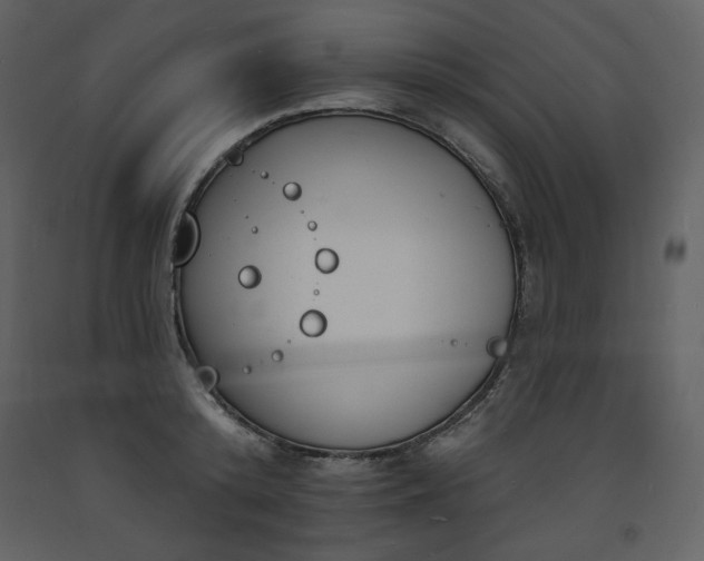 X0000093600800200710221546