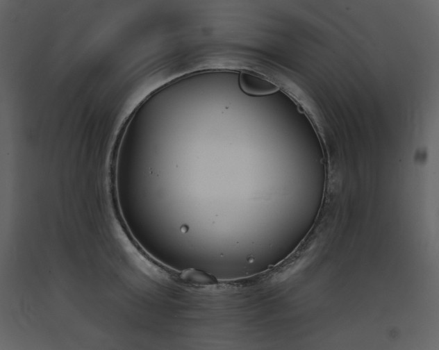 X0000093600803200710221546