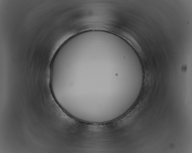 X0000093600804200710221546