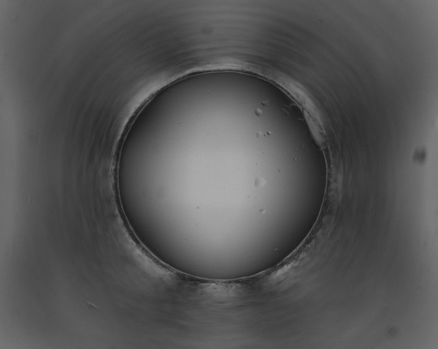 X0000093600805200710221546