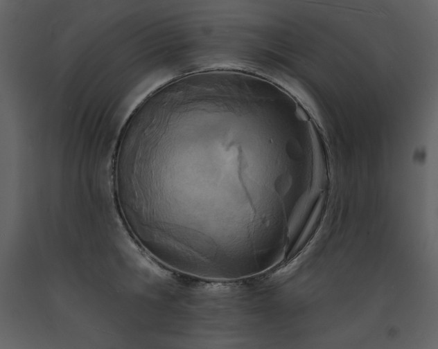 X0000093600806200710221546