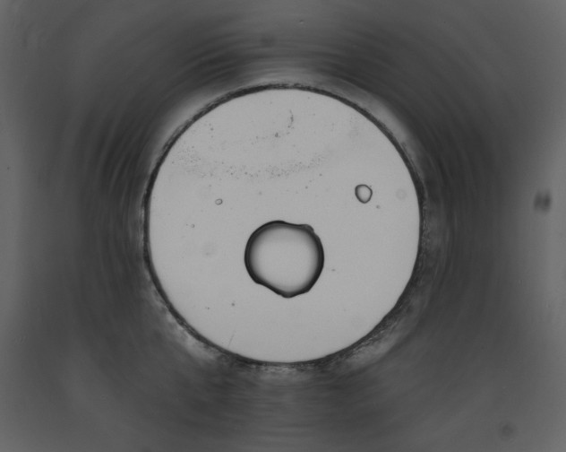 X0000093600807200710221546