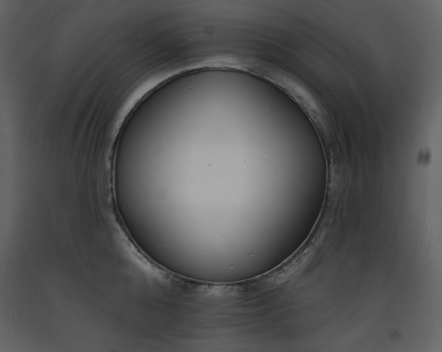 X0000093600808200710221546