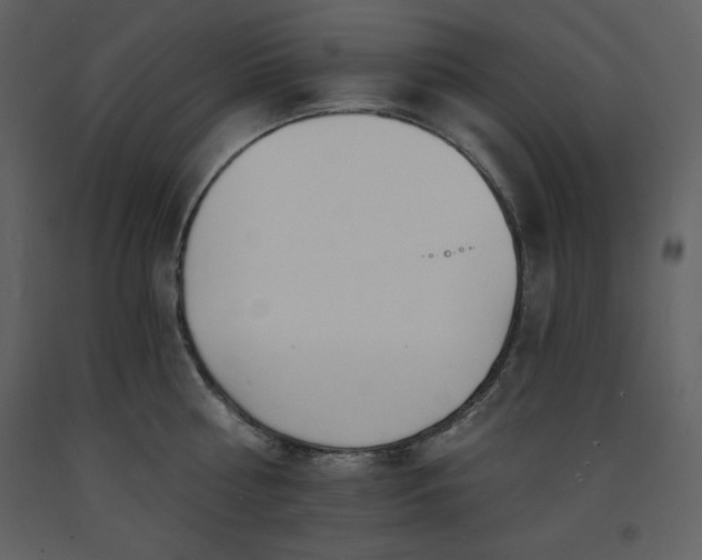 X0000093600810200710221546