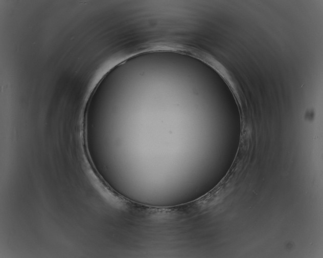 X0000093600811200710221546