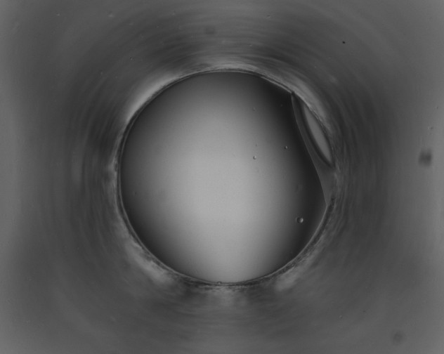 X0000093600814200710221546