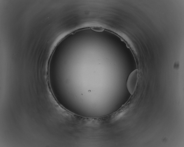 X0000093600815200710221546