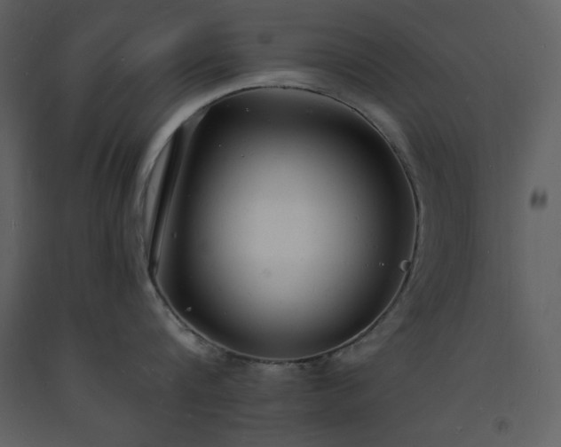 X0000093600816200710221546