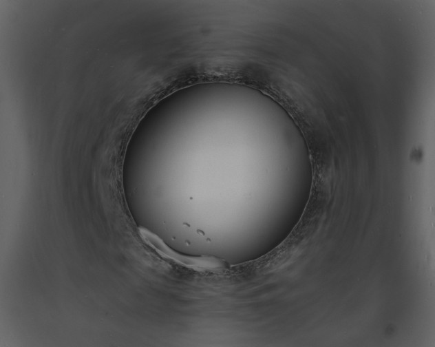 X0000093600817200710221545