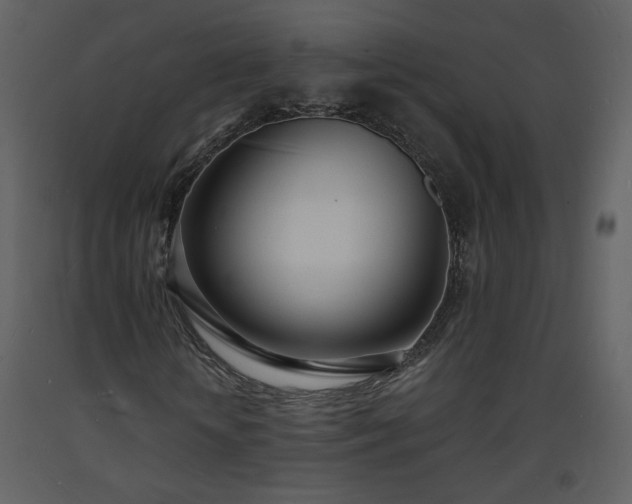 X0000093600818200710221545